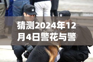 警花与警犬2最新消息揭秘，获取与解读步骤指南