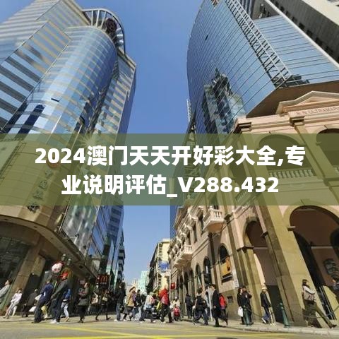 2024澳门天天开好彩大全,专业说明评估_V288.432