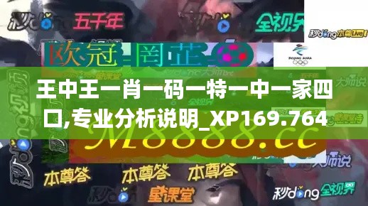 王中王一肖一码一特一中一家四口,专业分析说明_XP169.764