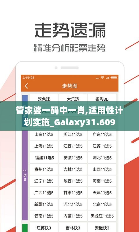 管家婆一码中一肖,适用性计划实施_Galaxy31.609