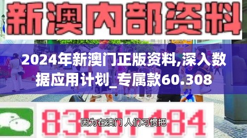 2024年新澳门正版资料,深入数据应用计划_专属款60.308