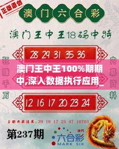 澳门王中王100%期期中,深入数据执行应用_纪念版45.528