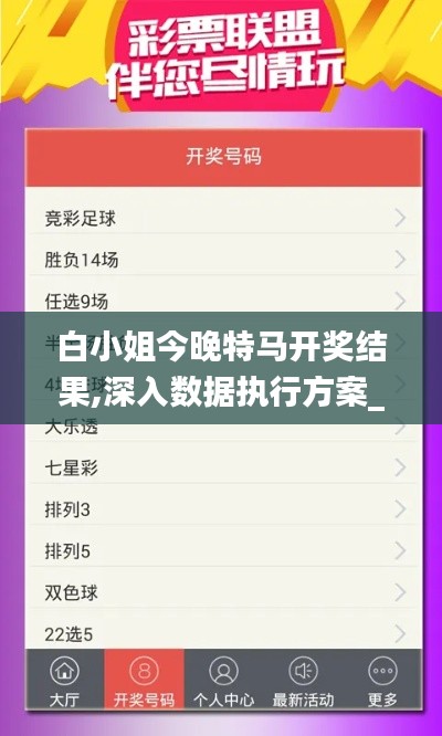 白小姐今晚特马开奖结果,深入数据执行方案_SHD83.555
