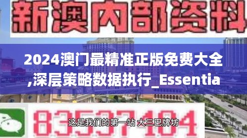 2024澳门最精准正版免费大全,深层策略数据执行_Essential30.716