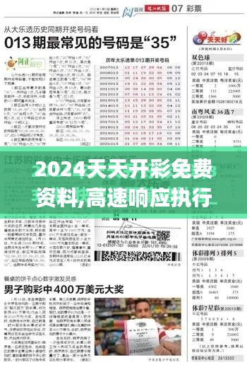 2024天天开彩免费资料,高速响应执行计划_V50.390