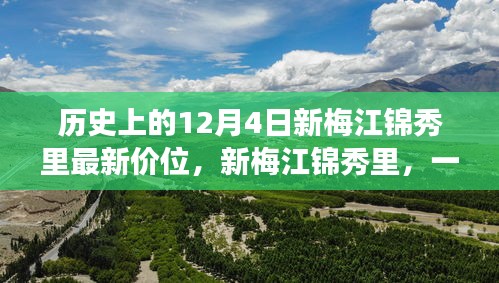 新梅江锦秀里价格探索，历史12月4日的温馨价位之旅