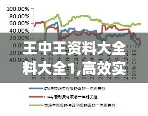 王中王资料大全料大全1,高效实施设计策略_Linux26.769