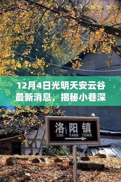 光明天安云谷探秘，揭秘小巷宝藏与特色小店最新消息（12月4日）