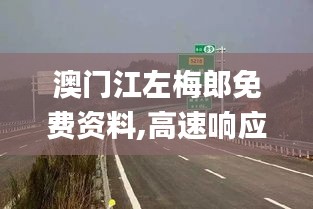 澳门江左梅郎免费资料,高速响应解决方案_特别款4.947