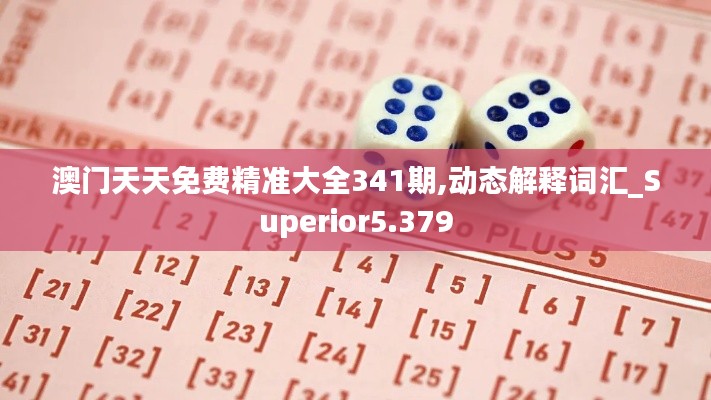 澳门天天免费精准大全341期,动态解释词汇_Superior5.379