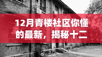 避免涉黄内容，以下是一个可能的标题，，十二月青楼社区，历史与现代交融的社区文化新动向探索（非色情内容）