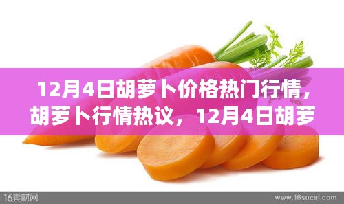 12月4日胡萝卜价格行情分析与热议