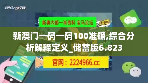 新澳门一码一码100准确,综合分析解释定义_储蓄版6.823