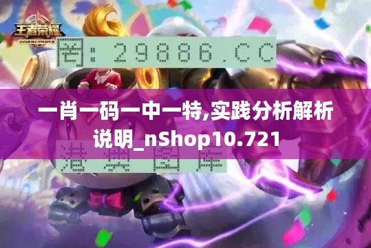 一肖一码一中一特,实践分析解析说明_nShop10.721