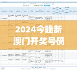 2024今晚新澳门开奖号码,实地数据验证策略_W3.579