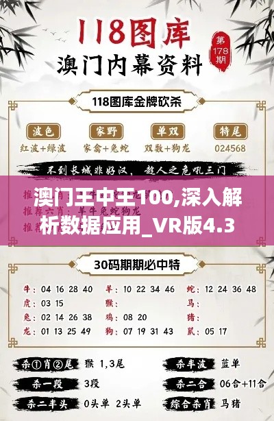 澳门王中王100,深入解析数据应用_VR版4.377