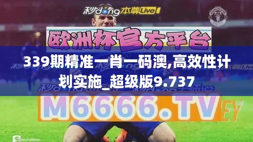 339期精准一肖一码澳,高效性计划实施_超级版9.737