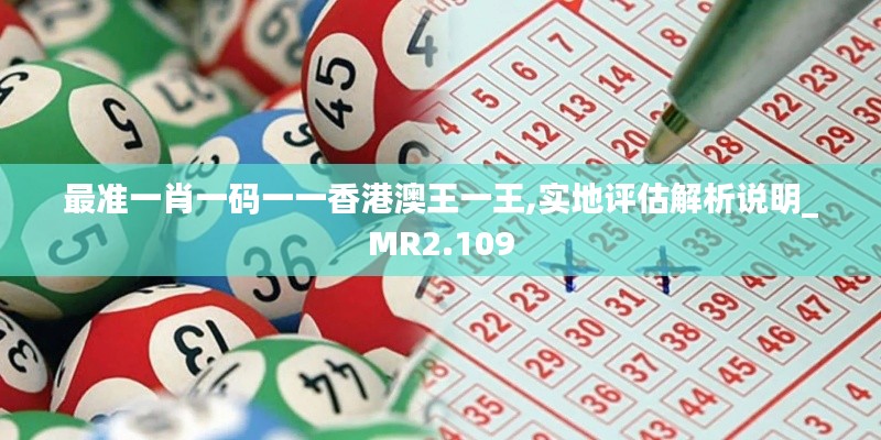 最准一肖一码一一香港澳王一王,实地评估解析说明_MR2.109