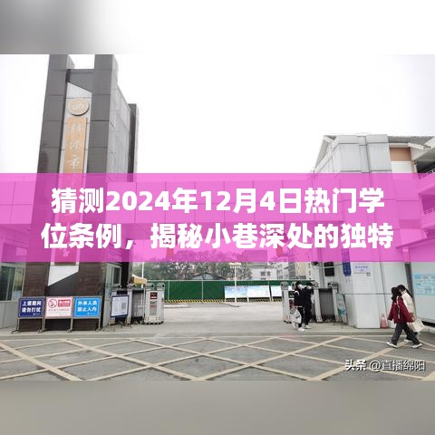 揭秘未来热门学位条例与小巷深处的独特美食奇缘，预测与展望 2024年热门学位条例揭秘及美食奇缘探索