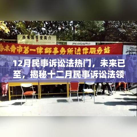 揭秘智能诉讼助手，十二月民事诉讼法领域的科技革新利器