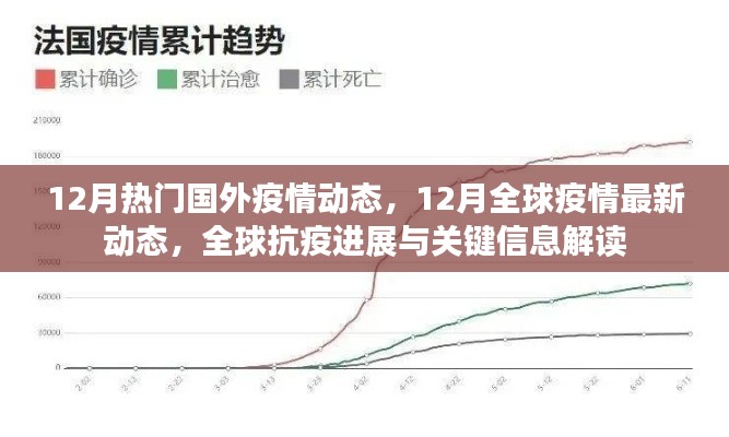 全球抗疫进展解读，12月全球疫情最新动态与热门国外疫情动态