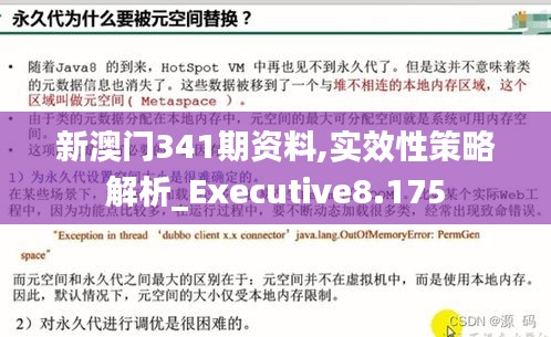 新澳门341期资料,实效性策略解析_Executive8.175