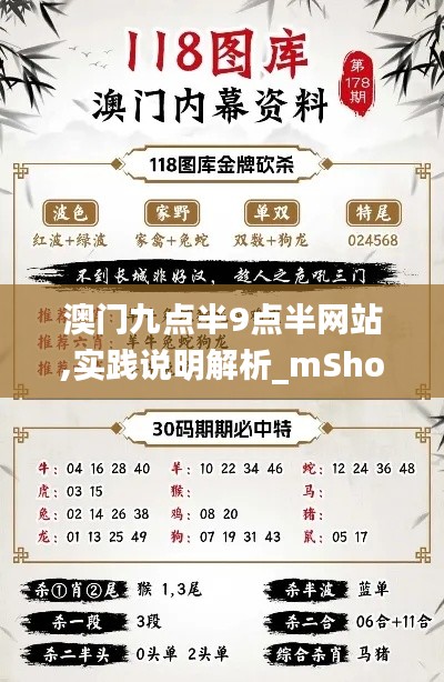 澳门九点半9点半网站,实践说明解析_mShop4.277