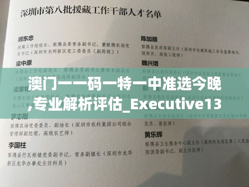 澳门一一码一特一中准选今晚,专业解析评估_Executive13.982