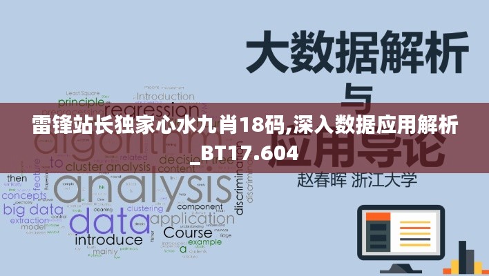 雷锋站长独家心水九肖18码,深入数据应用解析_BT17.604