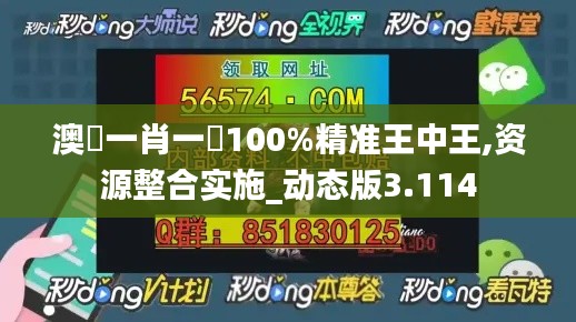 澳門一肖一碼100%精准王中王,资源整合实施_动态版3.114