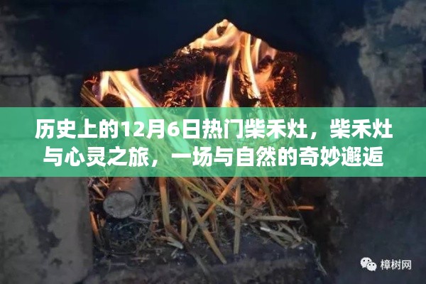 柴禾灶的心灵之旅，与自然奇妙逅遇的历史纪念日