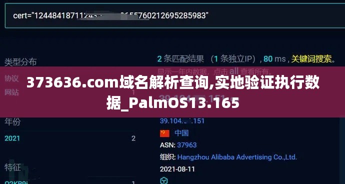 373636.com域名解析查询,实地验证执行数据_PalmOS13.165