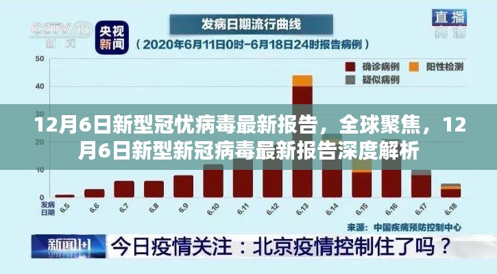 全球聚焦，12月6日新型新冠病毒最新报告深度解析与探讨