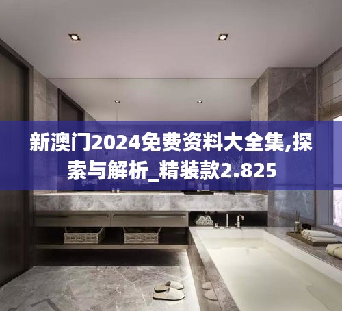 新澳门2024免费资料大全集,探索与解析_精装款2.825