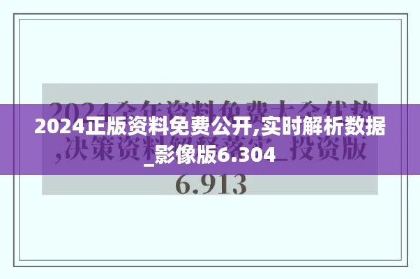 2024正版资料免费公开,实时解析数据_影像版6.304