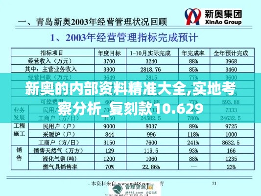 新奥的内部资料精准大全,实地考察分析_复刻款10.629