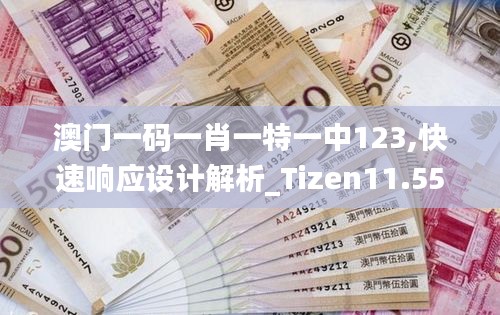 澳门一码一肖一特一中123,快速响应设计解析_Tizen11.556