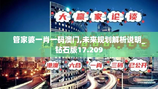 管家婆一肖一码澳门,未来规划解析说明_钻石版17.209