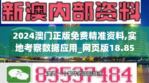 2024澳门正版免费精准资料,实地考察数据应用_网页版18.859