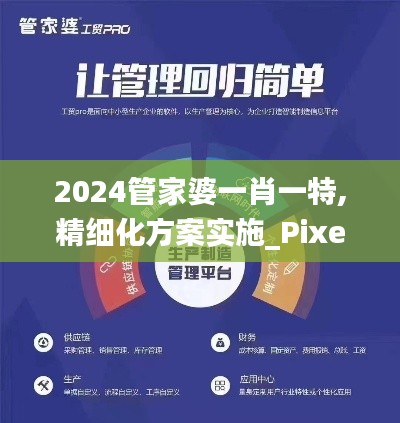 2024管家婆一肖一特,精细化方案实施_Pixel11.914