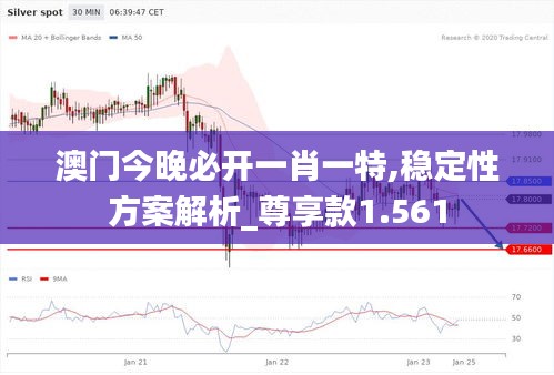 澳门今晚必开一肖一特,稳定性方案解析_尊享款1.561