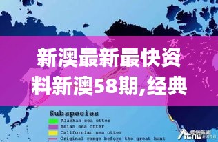 新澳最新最快资料新澳58期,经典解答解释定义_Superior6.702