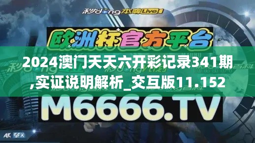 2024澳门天天六开彩记录341期,实证说明解析_交互版11.152