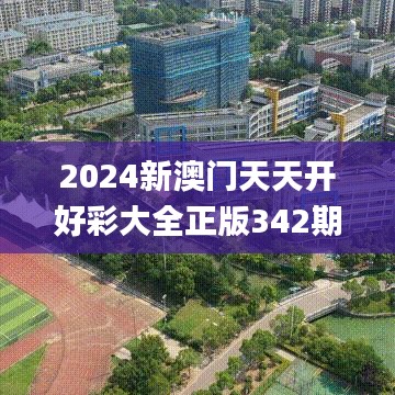 2024新澳门天天开好彩大全正版342期,实效性计划设计_MP9.695