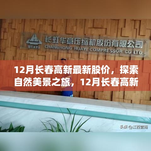 探索自然美景之旅，揭秘长舂高新股价背后的宁静力量与绿意盎然股市