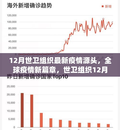 世卫组织12月最新疫情源头分析，全球疫情新篇章下的希望与成长之路