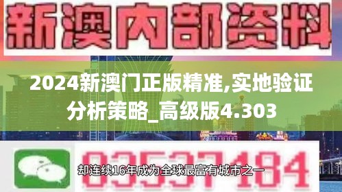 2024新澳门正版精准,实地验证分析策略_高级版4.303