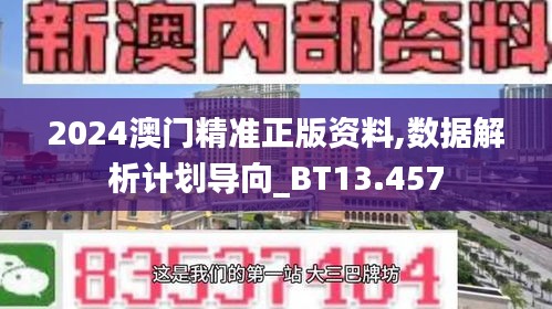 2024澳门精准正版资料,数据解析计划导向_BT13.457