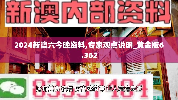 2024新澳六今晚资料,专家观点说明_黄金版6.362