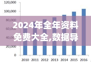 2024年全年资料免费大全,数据导向计划解析_视频版2.889